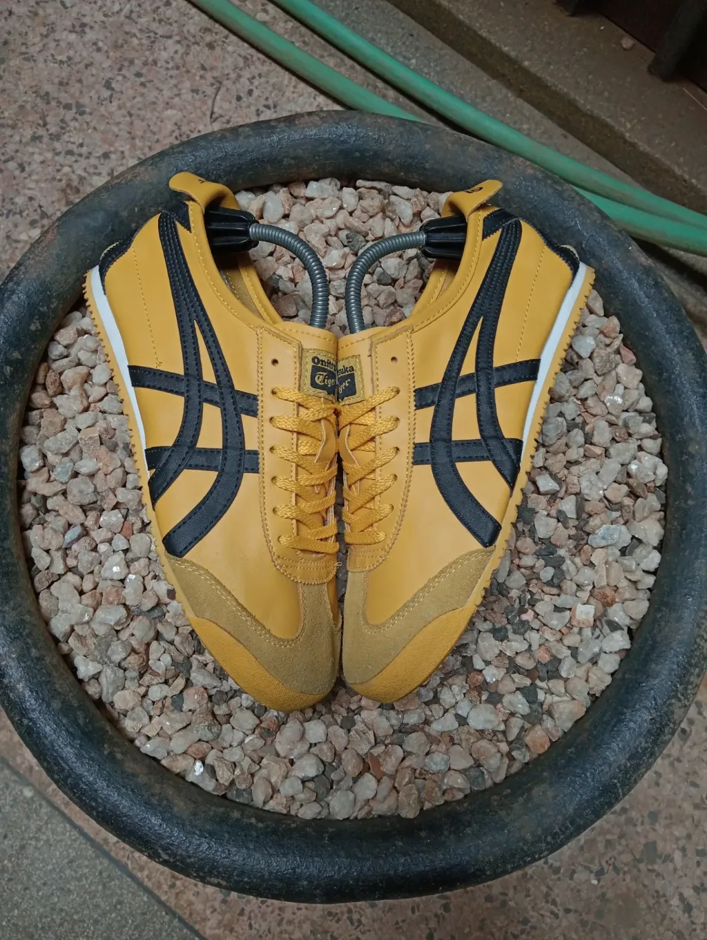 product images_1758629644733-479e944c-cd65-43ae-bc0c-1c8862891157-blob.webp