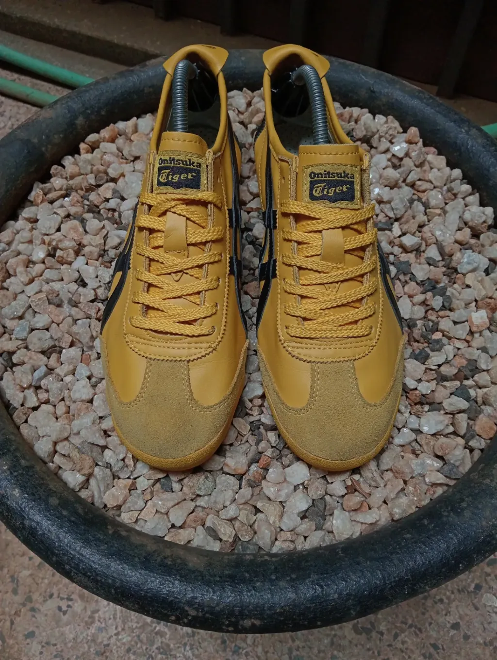 product images_1758629653050-1887347a-8690-4a90-82f1-5d2181cbc4c2-blob.webp