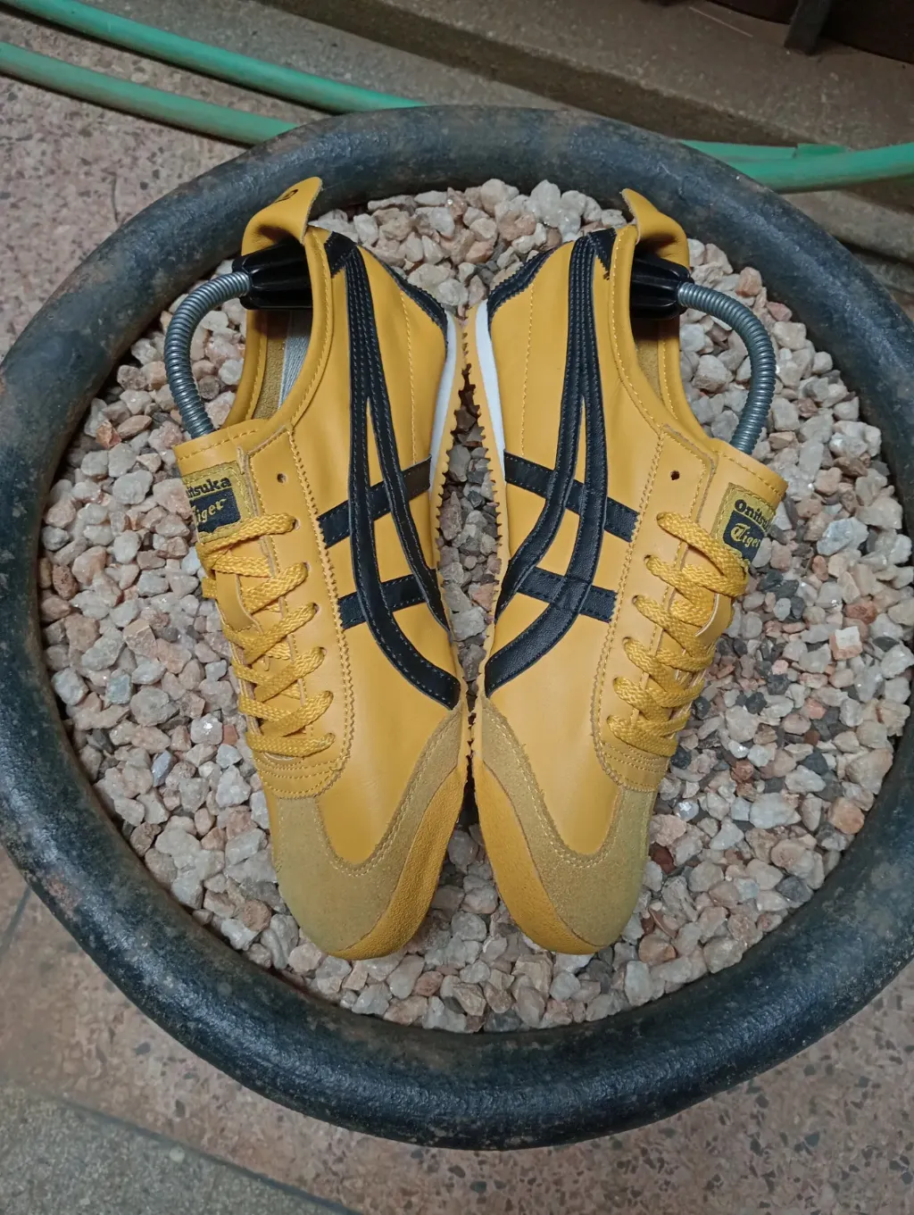 product images_1758629656952-089a0652-3a03-4c2c-ab7a-c2775ce5ffde-blob.webp