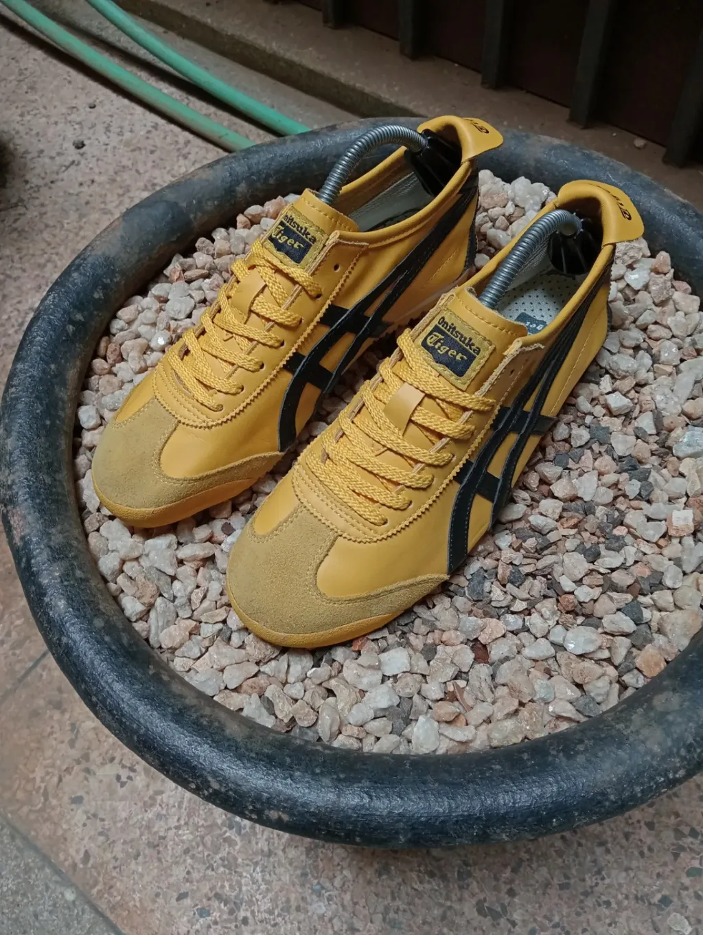 product images_1758629664201-4a14f2a6-9917-4c76-82b1-670f4fef4897-blob.webp