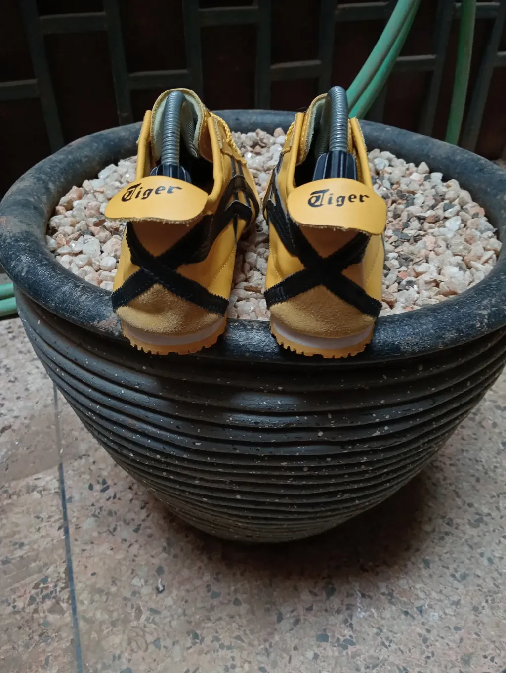 product images_1758629667541-368ac8de-c89f-4974-870d-fc700037eda9-blob.webp