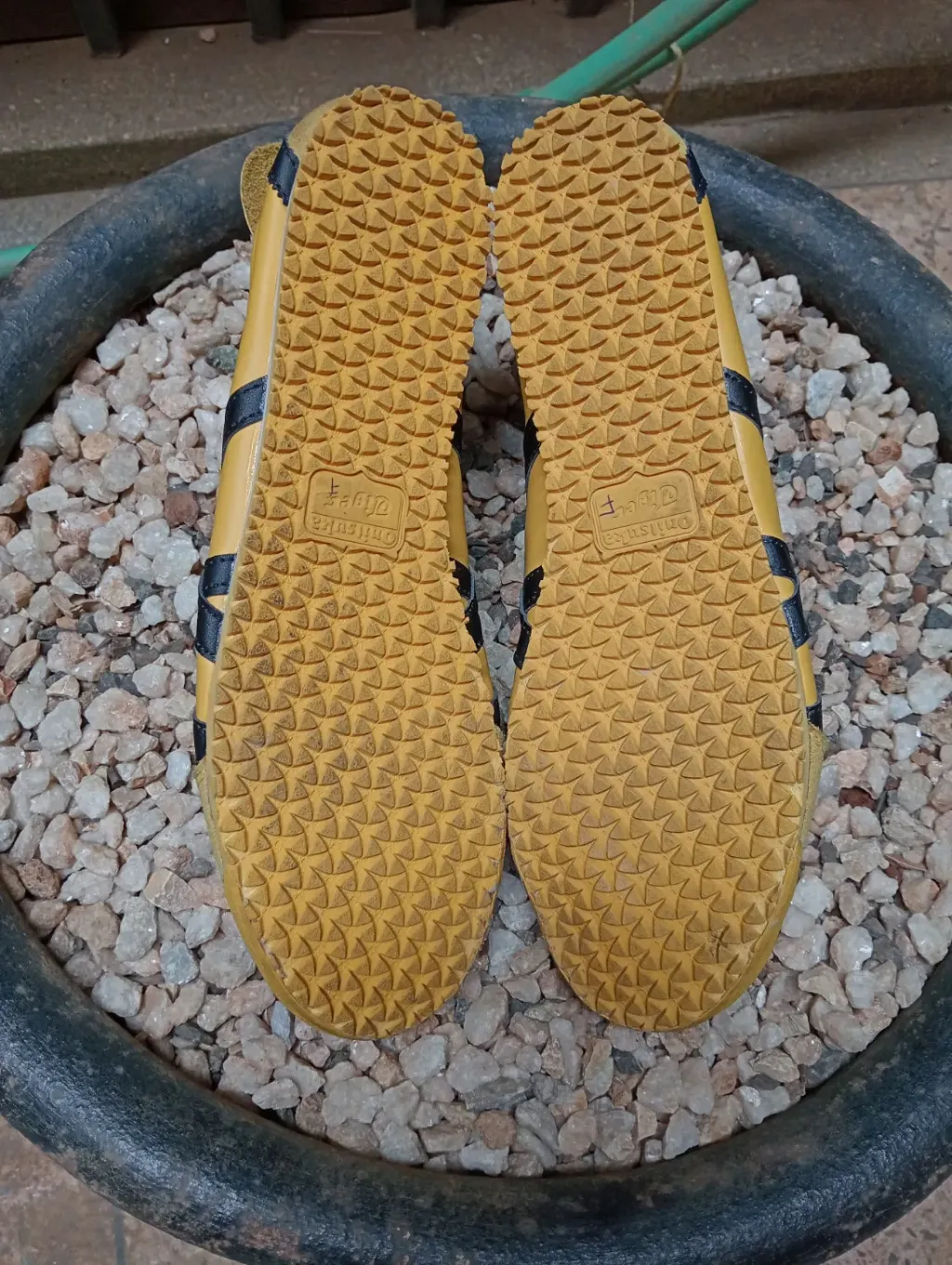 product images_1758629674845-7a7f1655-8765-4fc5-a196-5def5c57b9e9-blob.webp