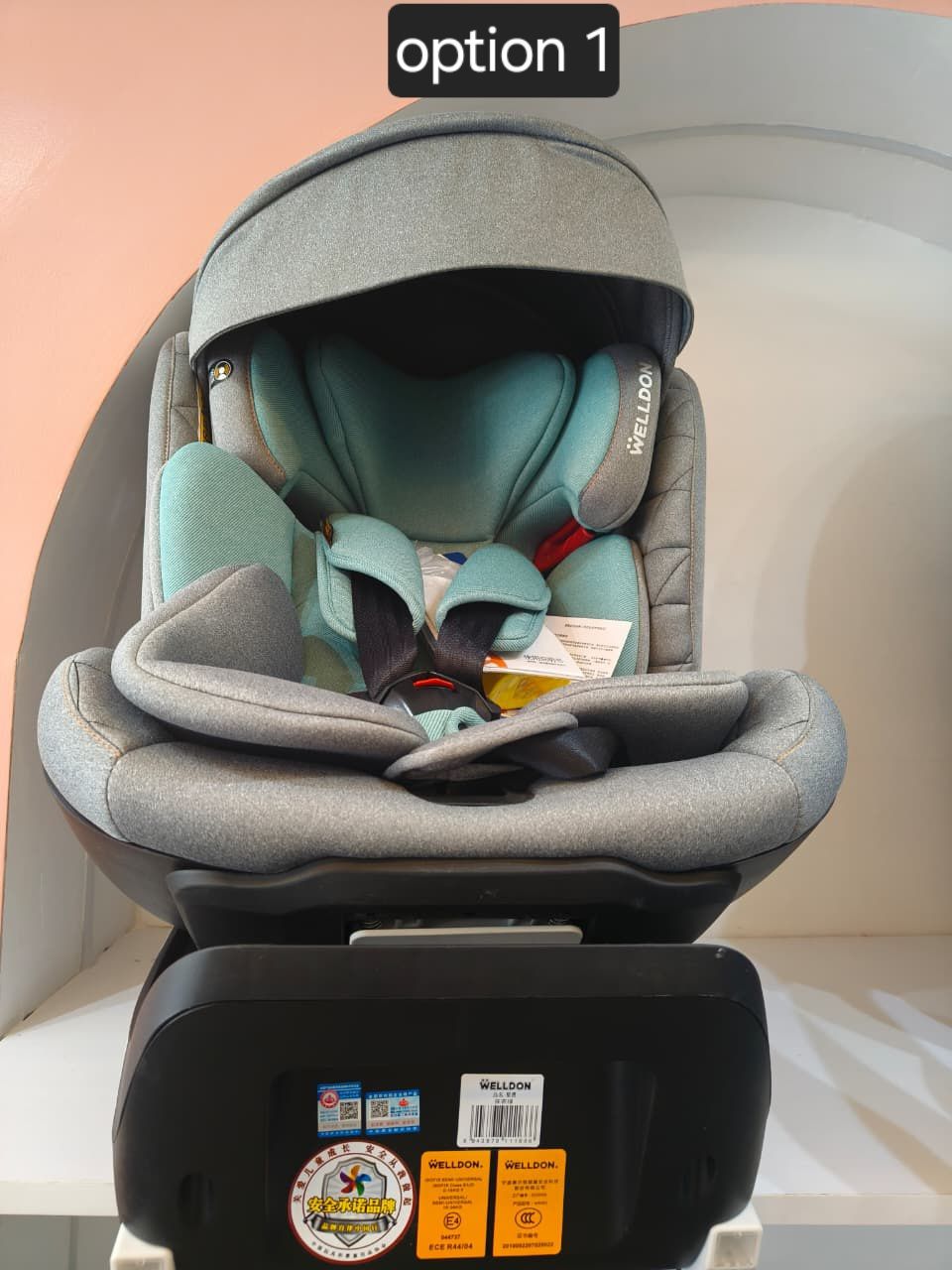 car seat option 3.jpg